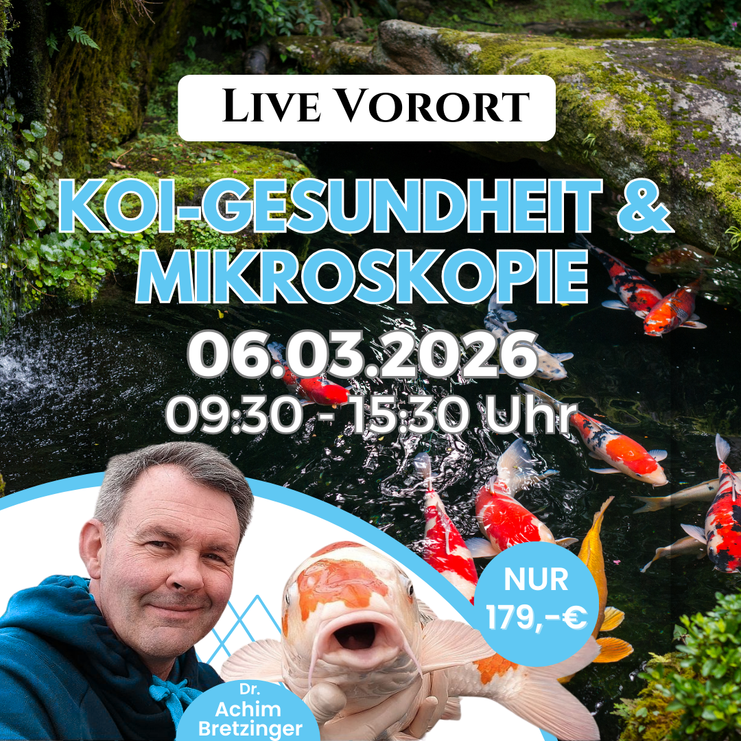 Koikurs zu Koihaltung, Gesundheit & Mikroskopie mit Dr. Achim Bretzinger am 06.03.2026