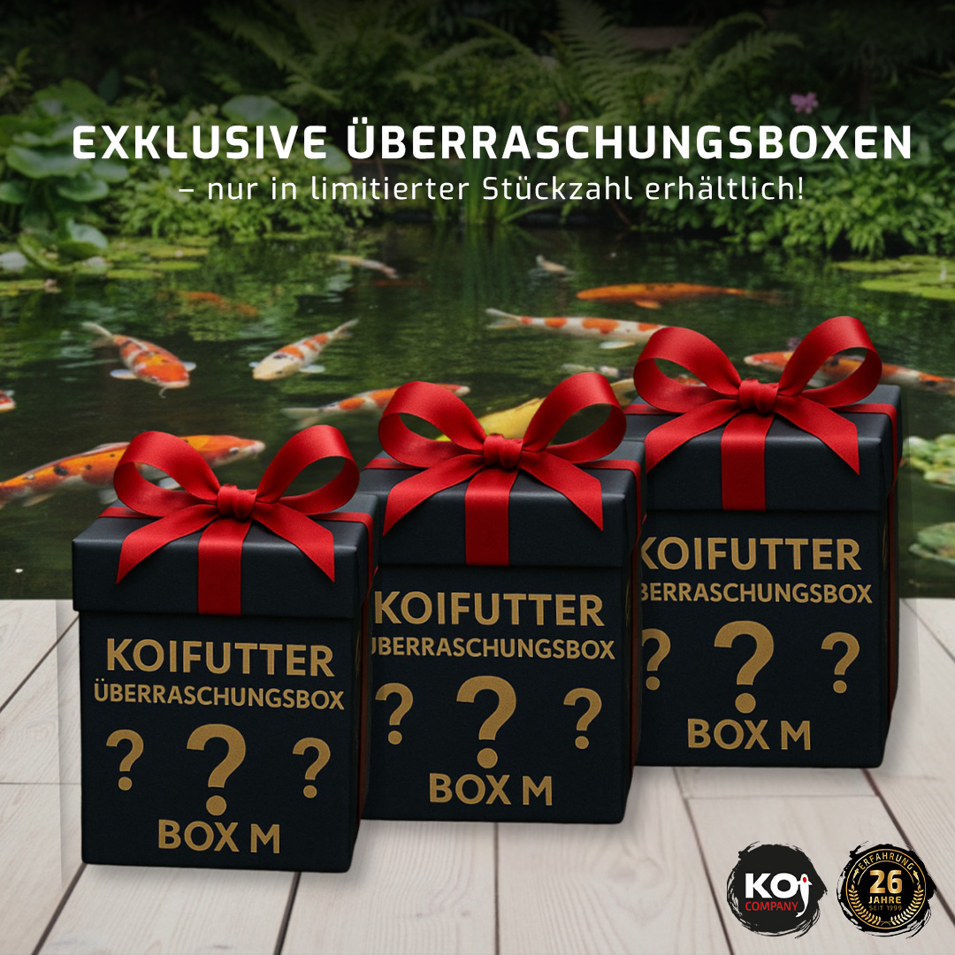 Koifutter Überraschungsbox M  | Koi Futter mit Rabatt