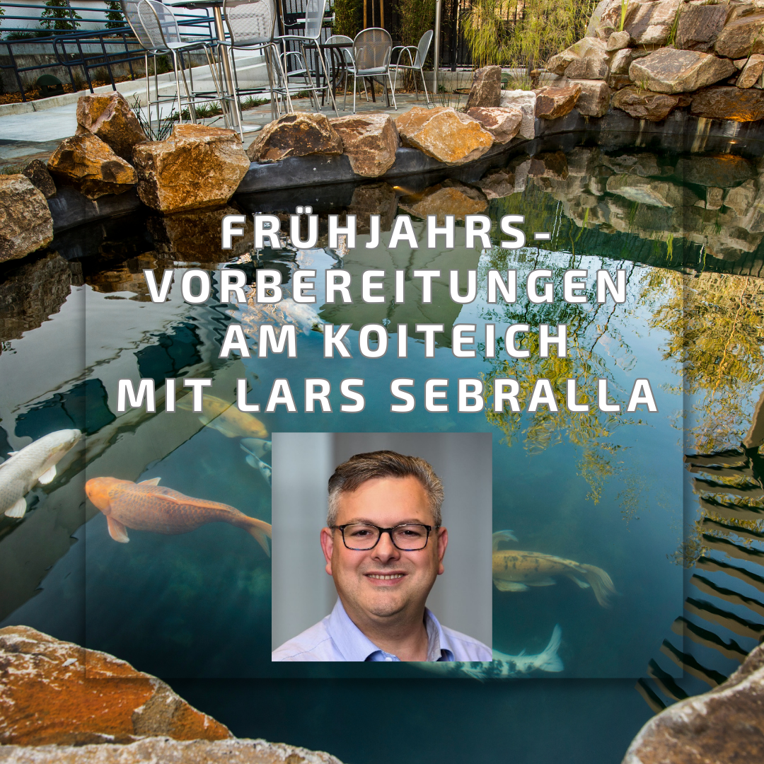 Frühjahrsvorbereitungen am Koiteich - Webinar mit Lars Sebralla am 28.02.2025 per Zoom