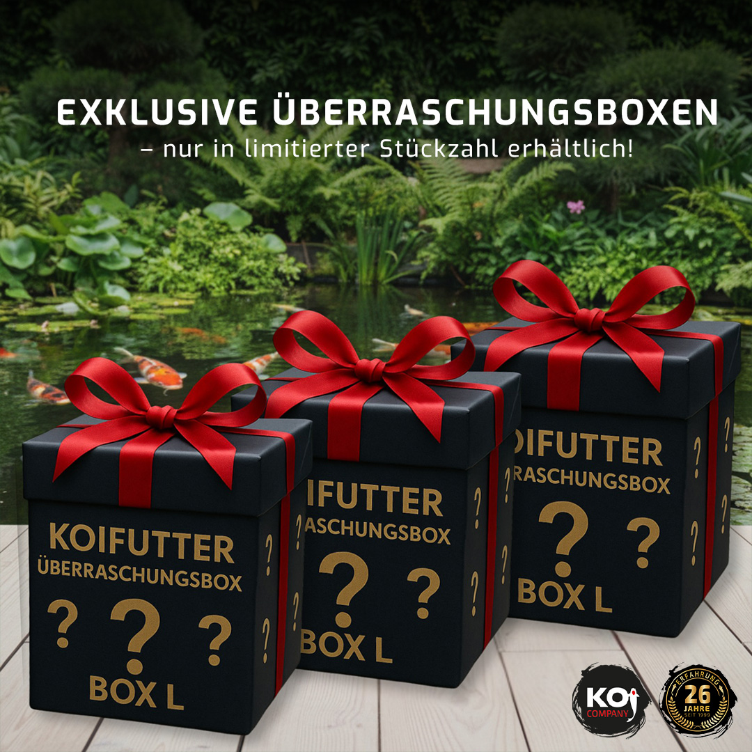 Koifutter Überraschungsbox L  | Koi Futter mit Rabatt