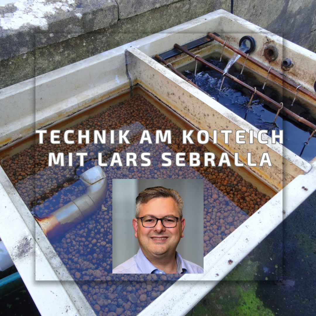 Technik am Koiteich Webinar mit Lars Sebralla am 08.11.2024 per Zoom - Termin wird verschoben