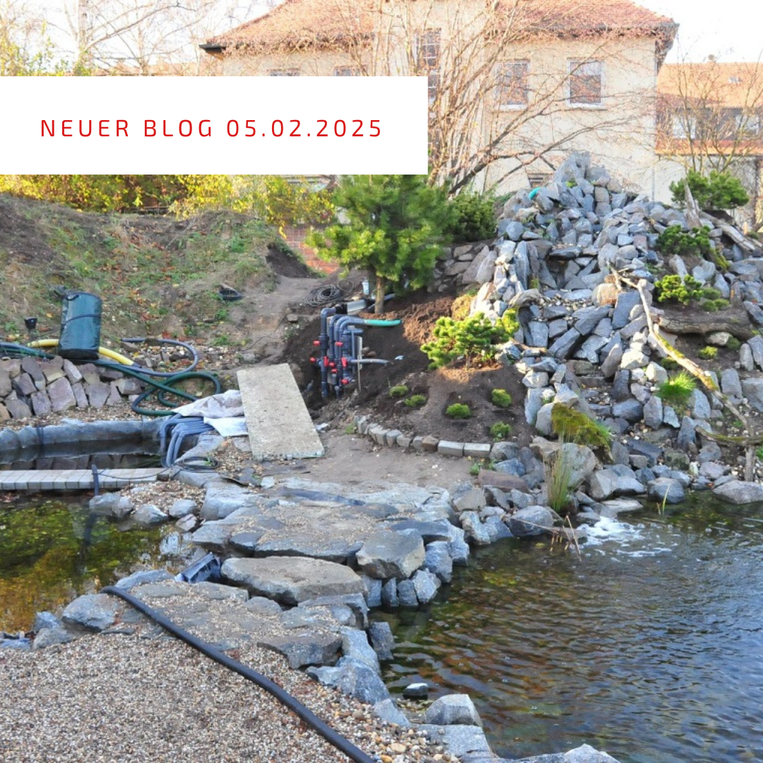 Blogpost 05.02.2025 Blogpost 05.02.2025