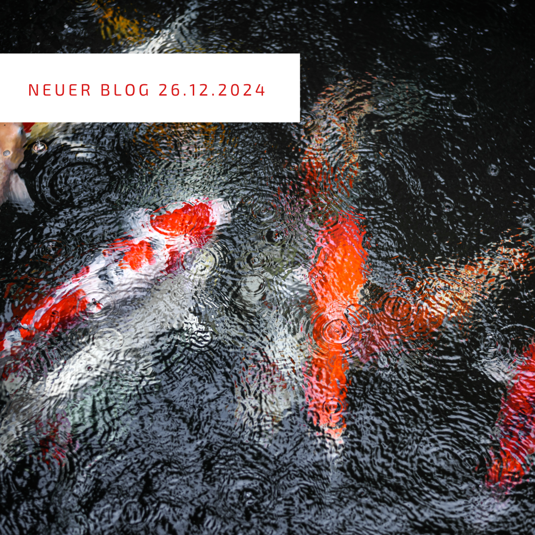 Blogpost 26.12.2024