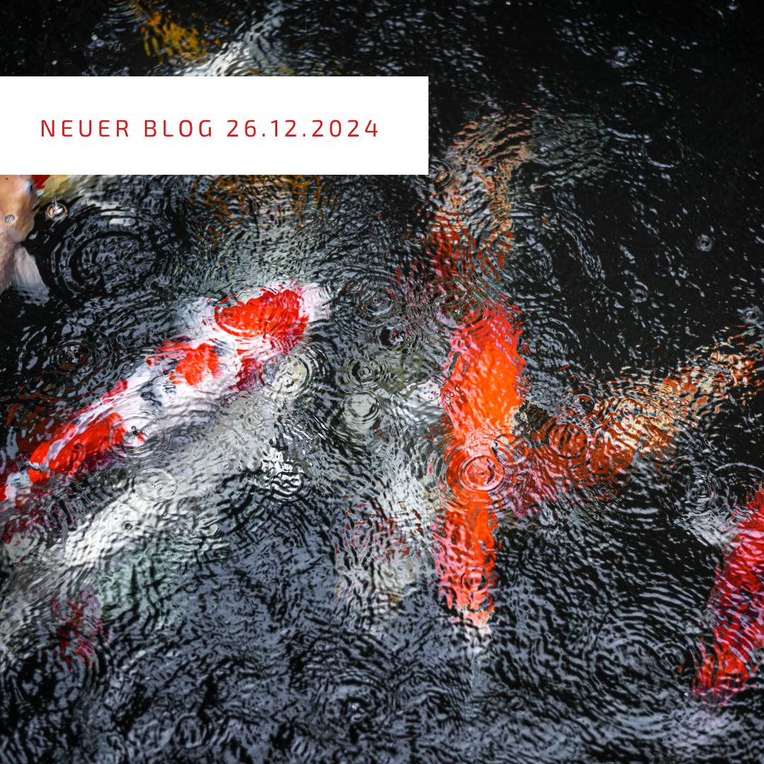 Blogpost 26.12.2024 Blogpost 26.12.2024