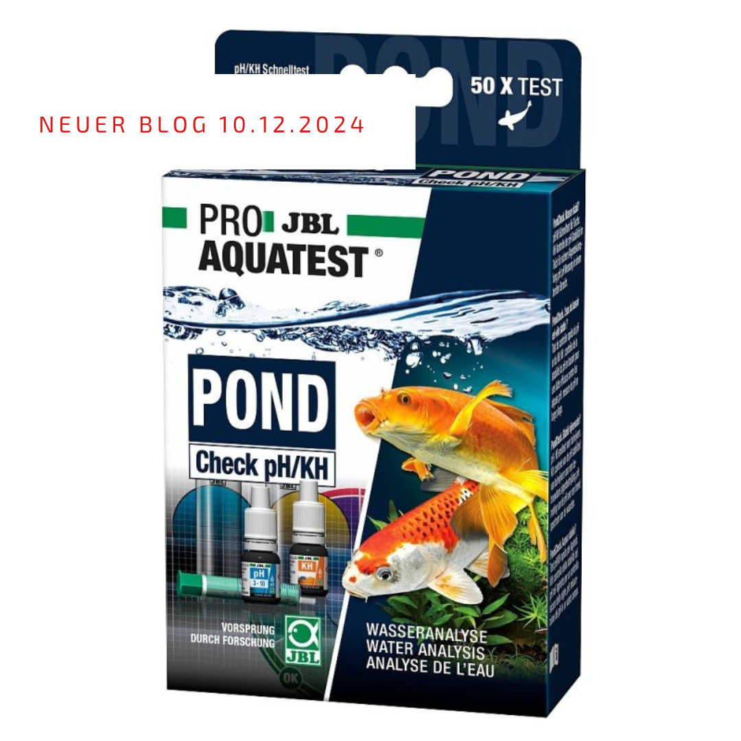 Post_10.12.2024 Post_10.12.2024