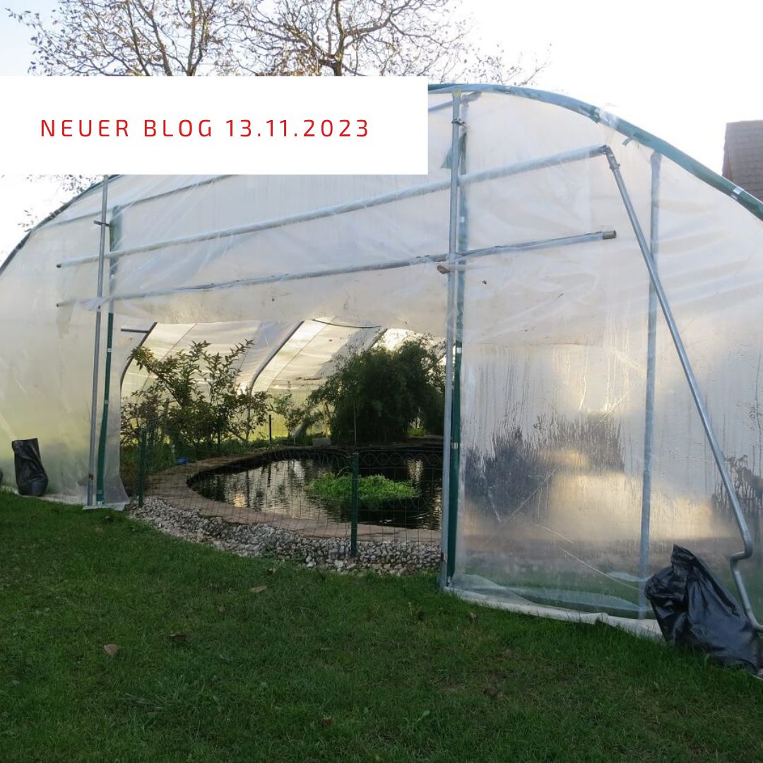 2023_11_13_Isolation mit Köpfchen 2023_11_13_Isolation mit Köpfchen