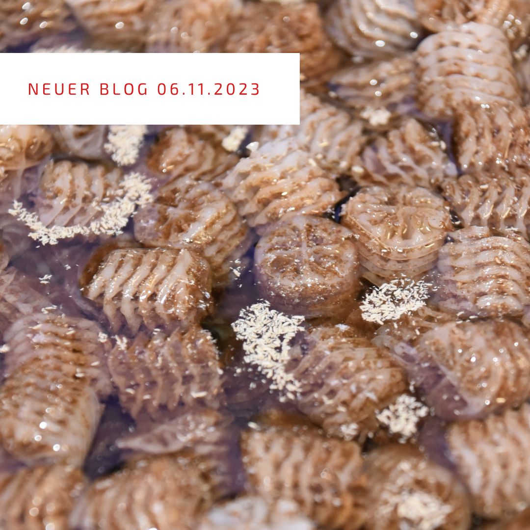 2023_11_06_Biofilter im WinterNEU 2023_11_06_Biofilter im WinterNEU
