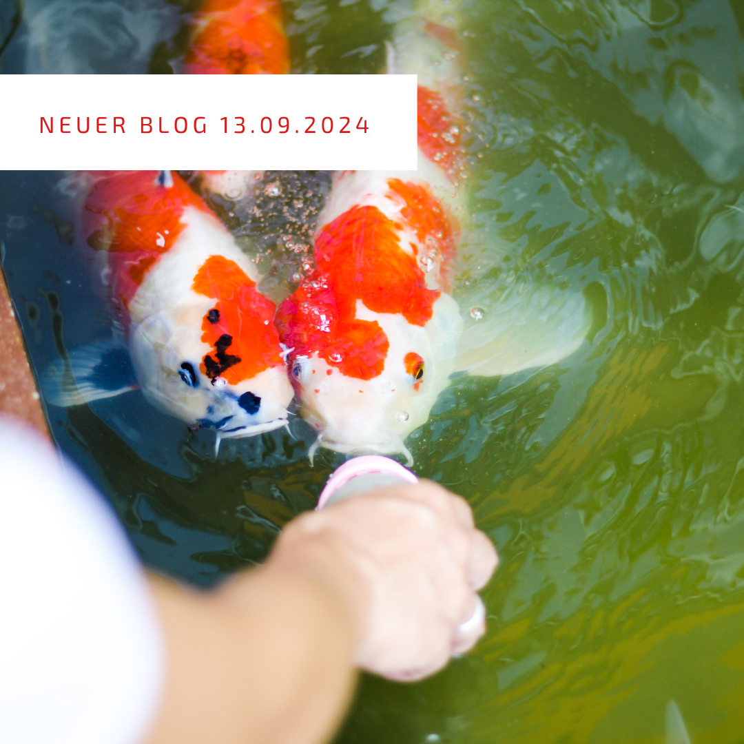 Post_13.09.2024 Post_13.09.2024