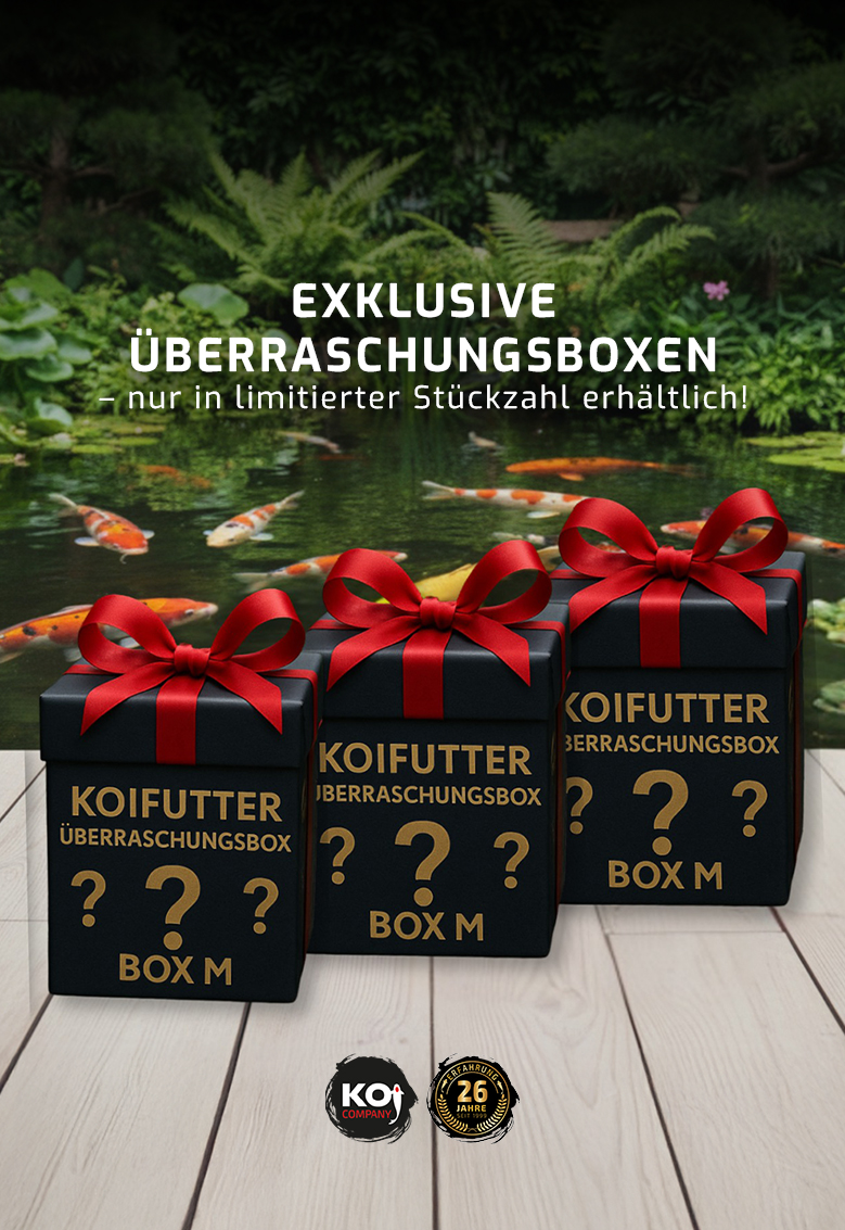 product-slider-image