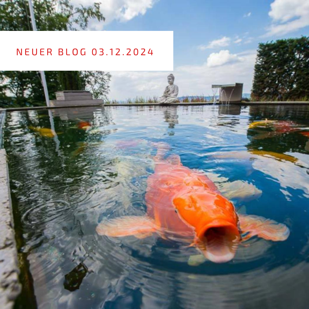 Post_03.12.2024 Post_03.12.2024