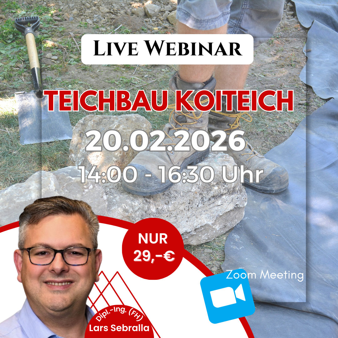 Teichbau Koiteich Webinar mit Lars Sebralla am 20.02.2026 per Zoom 