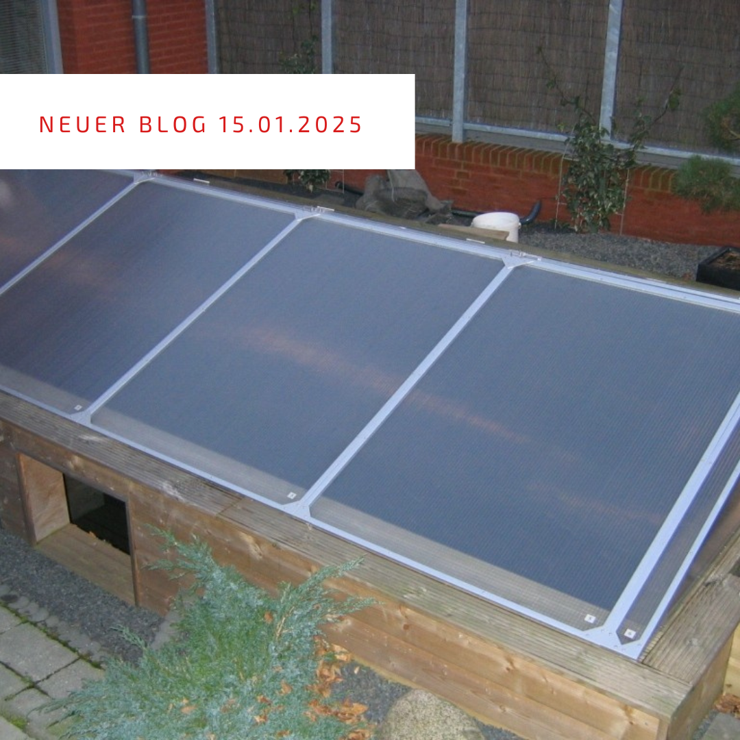 Blogpost 15.01.2025 Blogpost 15.01.2025