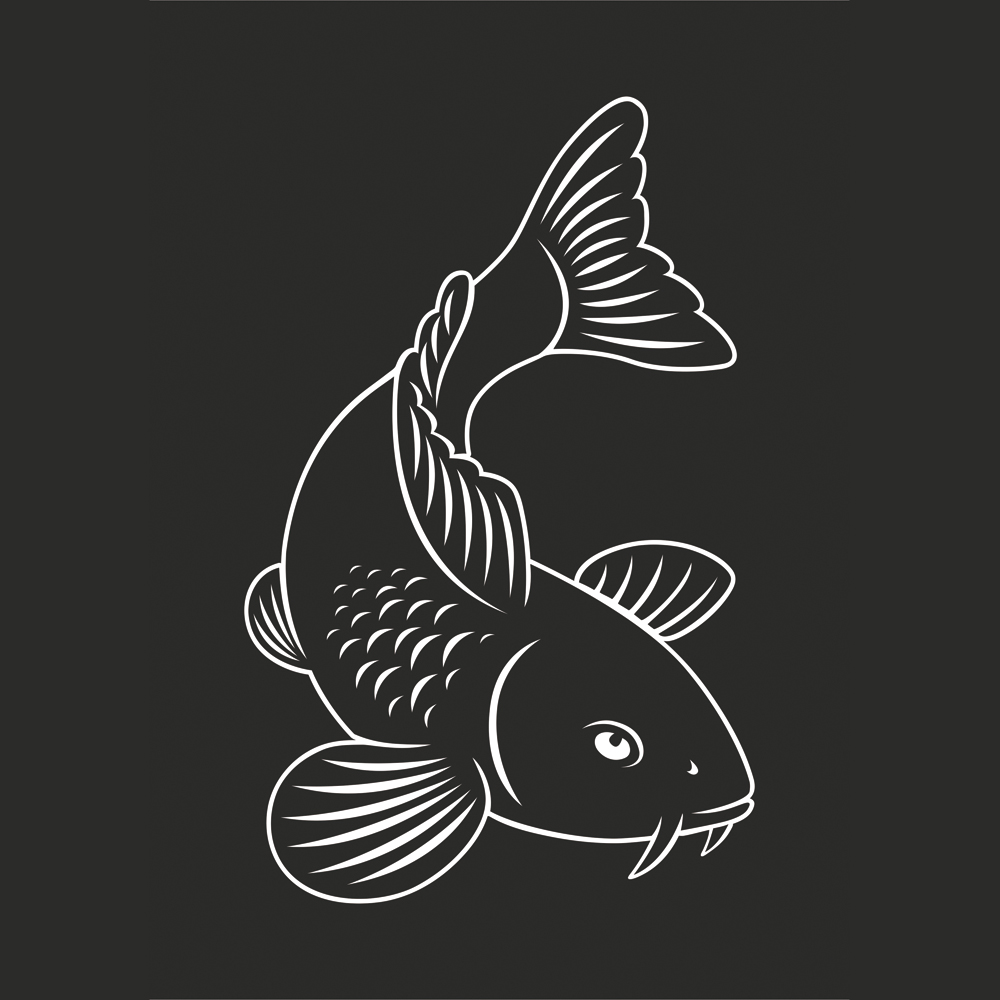 Koi-Autoaufkleber Kontur weiß 30 x 20 cm (2 Stück) Koi-Autoaufkleber Kontur weiß 30 x 20 cm (2 Stück)