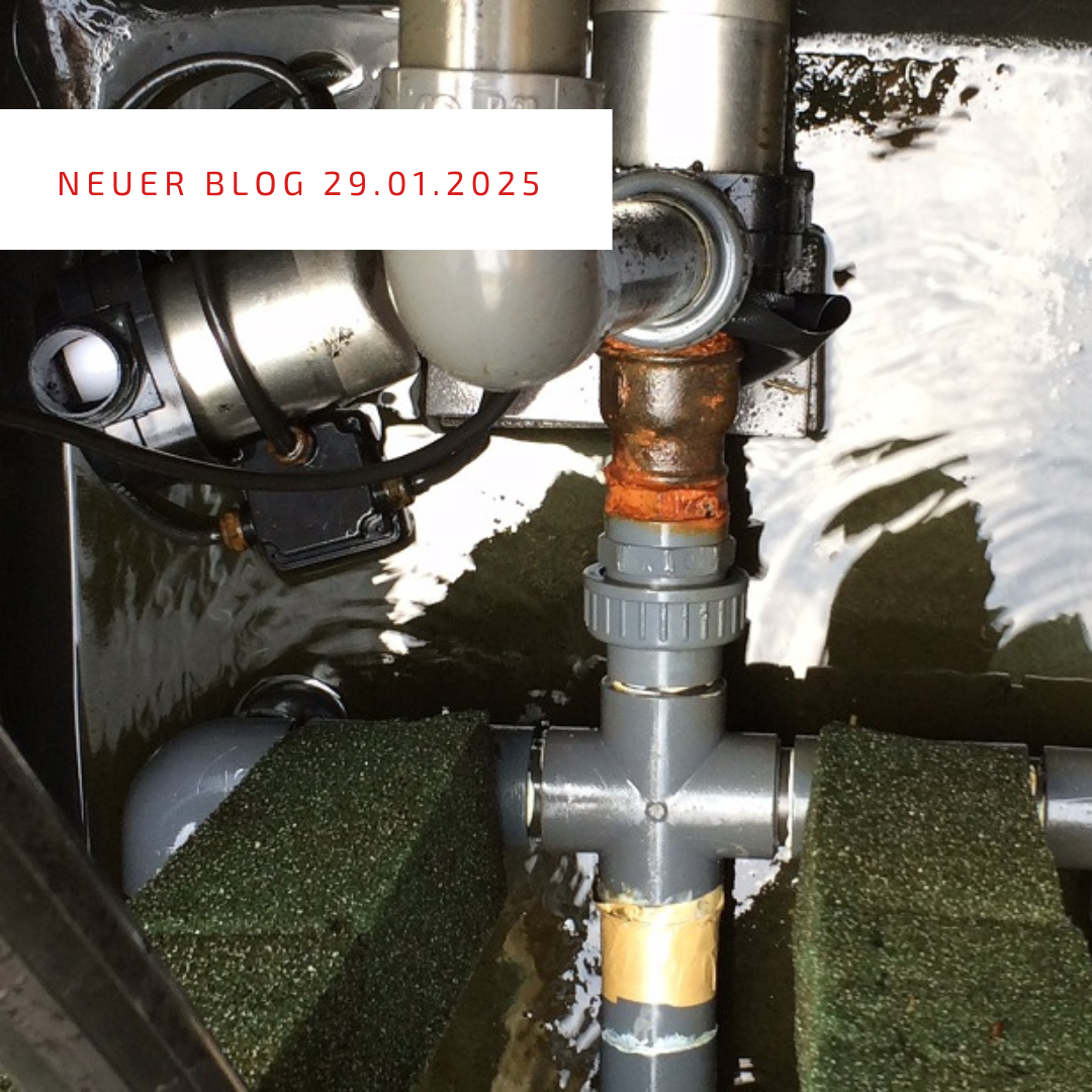 Blogpost 29.01.2025 Blogpost 29.01.2025