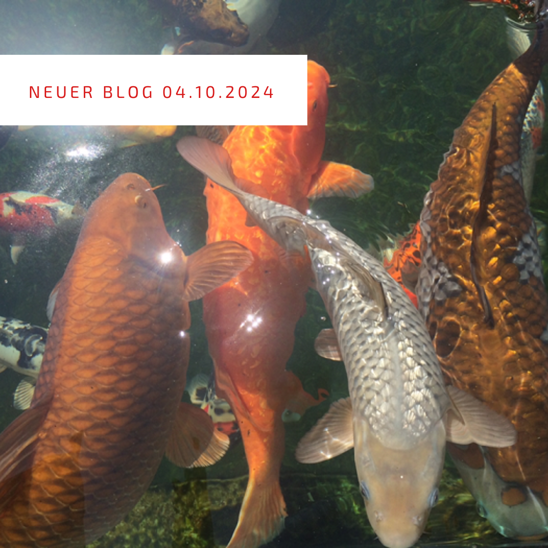 Post_04.10.2024 Post_04.10.2024