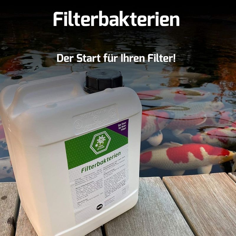 Filterbakterien